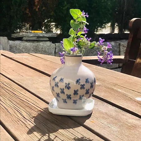 Appartement Casa Al *